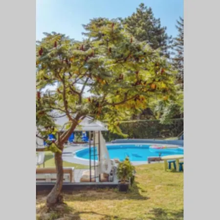 Danube , 25 Min From Belgrade, 20 Min Airport, Private Pool & Sauna Vila *