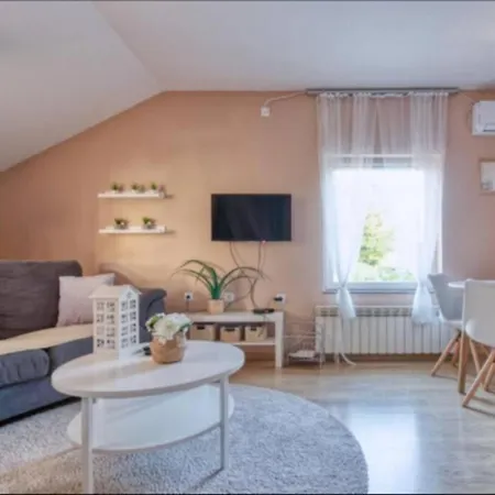 Danube , 25 Min From Belgrade, 20 Min Airport, Private Pool & Sauna * Novi Banovci